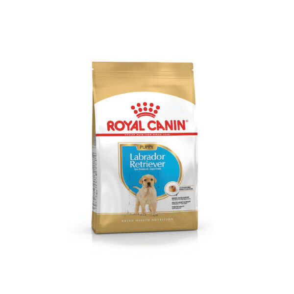 Labrador Retriever Puppy Dry Dog Food