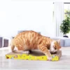 Large Wave Cat Scratching Board