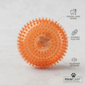 The Best Dog Chew Toy